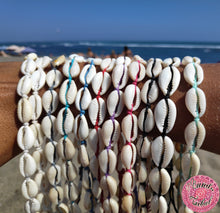 Cargar imagen en el visor de la galería, gargantillas verano conchas colores